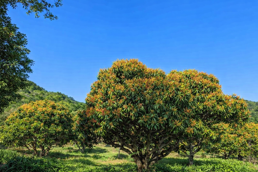6 Bedroom Property for Sale in Kei Mouth Eastern Cape
